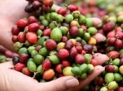 В Украине подорожает кофе 