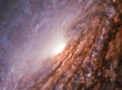 "Хаббл" сделал снимок галактики из созвездия Гончих псов