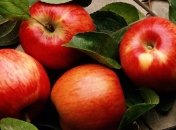 Ученые рассказали, откуда появились яблоки