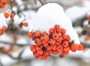 Високосный год 2020: сколько будут отдыхать и работать украинцы в феврале