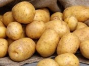 Ученые: ГМО продукты выращиваются в Белоруссии исключительно в научных целях