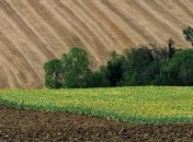 Власть не собирается распродавать землю: Шмыгаль выступил за рынок земли