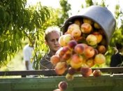 Азаров: Государство должно поддерживать фермерские хозяйства