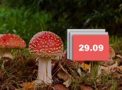 Свято 29 вересня