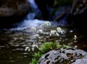 Весеннее равноденствие 2020: нумерологический прогноз