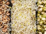 Польза пророщенных круп для организма