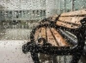 Погода на вихідні