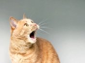 Каких знаков Зодиака ждут сюрпризы совсем скоро