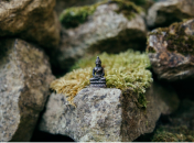 Притча о змее и камне: в чем основная причина семейных конфликтов