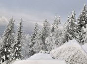 Хайпанули: "пропажа" туристов на перевале Дятлова насмешила сеть