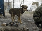 Штаб: Боевики 20 раз открывали огонь по позициям сил АТО