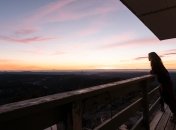 Интересный тест на определение вашего времени суток