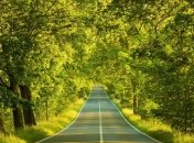 Прогноз погоды в Украине на 20 июля: солнечно почти во всех областях