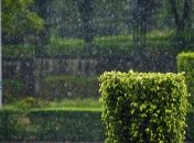 Прогноз погоды в Украине на 10 сентября: дожди в некоторых областях