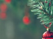 В Киеве изъяли более 3 тысяч незаконно срубленных елок