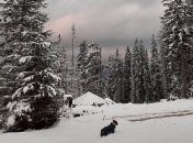 Зима пришла раньше времени: Карпаты засыпало 10-сантиметровым слоем снега (фото, видео)