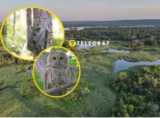 Сіра сова з'явилась в Дніпропетровській області