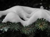 Мокрый снег с дождем: синоптик озвучила прогноз погоды на 24 февраля в Украине