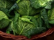 Кому не можна їсти капусту