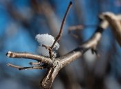 Март уже на пороге