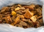 На Ровенщине ситуация с незаконной добычей янтаря стабилизировалась