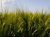 Сельскохозяйственные угодья будут сдавать в аренду на 10 и более лет