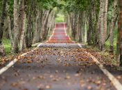 В конце сентября в Украине на несколько дней наступит потепление