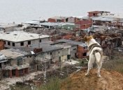 ООН: На Донбассе 1,5 миллиона украинцев столкнулись с угрозой голода