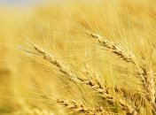 13 августа - праздник, что категорически запрещено делать, главные приметы