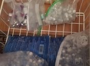 В Одессе СБУ разоблачили подпольное производство лекарств