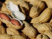 Необычный орех: в чем заключается польза и вред арахиса