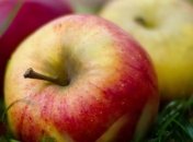 Польские, турецкие и молдавские яблоки оказались опасными