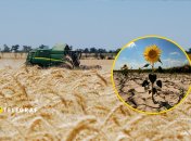 Через зростання температури культури потребують нових рішень