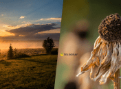 Спека в Україні