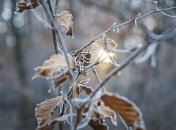 Морозы придут рано, но не ко всем: чего украинцам ждать от погоды в ноябре