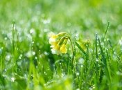 Какой праздник 12 мая: народные приметы и запреты