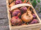 В июле не все удобрения пойдут на пользу