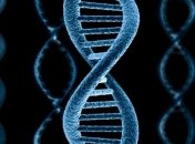 Биологи нашла способ защитить человека от радиации