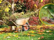 Осінній сад