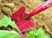 Лунный посевной календарь с 24 по 30 июня 2019 года