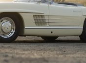 Кубок "Леополис Гран При" одержали супруги из Польши