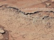 Что общего у почв Земли и Марса?