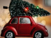 Як вибрати новорічне дерево