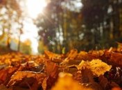 До +27° и без осадков: в Украине будет царить бабье лето