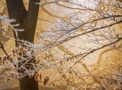 Какой праздник 12 января: народные приметы и запреты