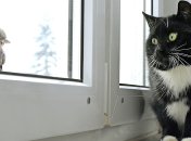 Как согреться этой зимой - устраняем утечку тепла из дома