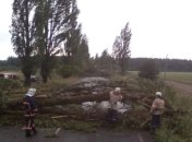 На Закарпатье из-за мощной непогоды 30 населенных пунктов остались без света