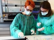 На Донетчине зафиксировали 25 новых случаев коронавируса