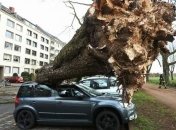 Шторм остановил поезда в Германии и оставил без электричества Чехию