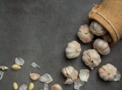 Чесночной кожуре нашли применение